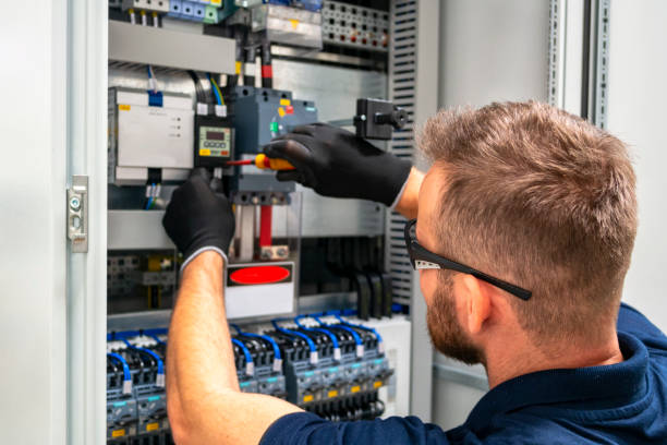Best Electric Panel Repair  in Central City, IA